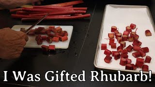 I Was Gifted Rhubarb