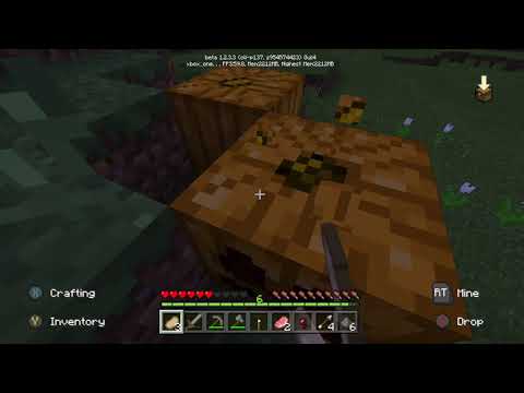 Minecraft LP: S04E02: Night Falls