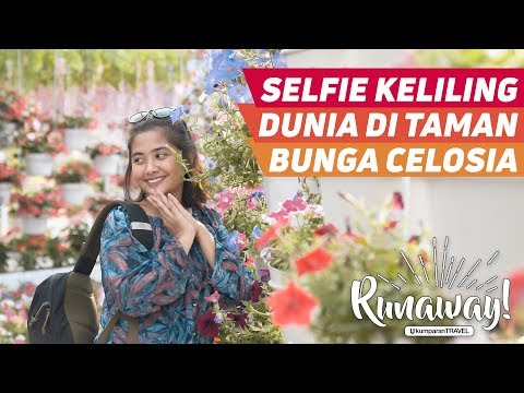 Taman Bunga Anaro Tempat Wisata Baru Berupa Taman Bunga Di