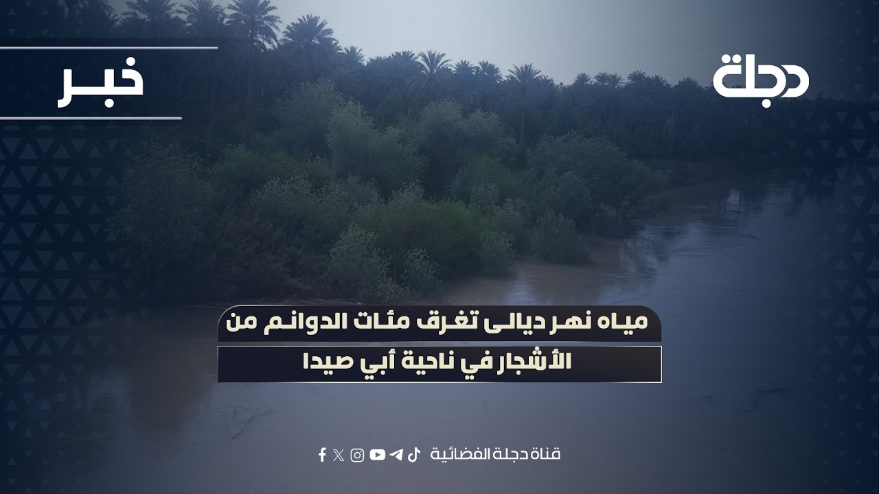 فيديو | مياه نهر ديالى تغرق مئات الدوانم من الأشجار في ناحية أبي صيدا