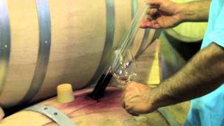 preview picture of video 'Wine Tasting at Bodega Salentein and La Azul - spinning around the world'