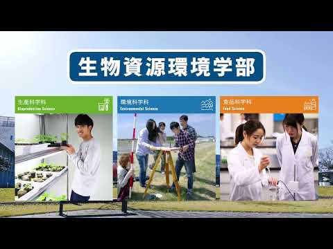 大学紹介ダイジェスト