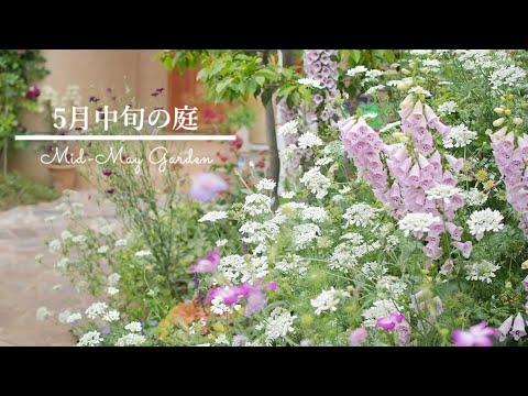 ナチュラルガーデンの作り方 トピックス