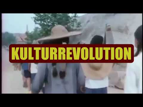 Grundlagen des Maoismus 13: Kulturrevolution
