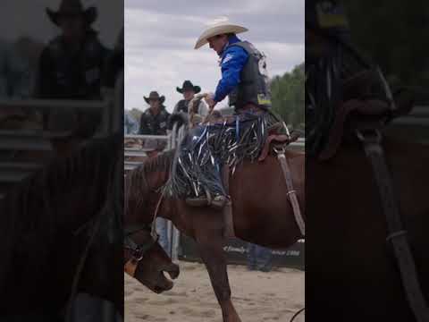 The best saddle bronc cowboys in the world