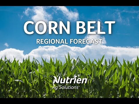 Corn Belt Regional Ag Forecast August 9 2019