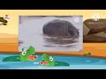 Bim And Bam In The Animal World Hippo Brand NEW 2024