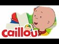 Caillou Caillou S Cricket S05E01 Videos For Kids