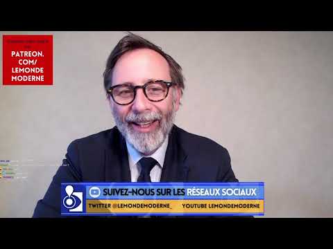 MCKINSEY, CAPGEMINI, VIVA LA MACRONIE !