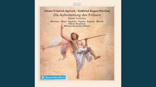 Frohlocket und preiset den göttlichen Held, HoWV I.11: No. 8, Verwundrung nimmt Herz und Sinn...