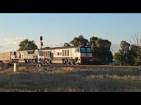 2PM9 SCT Grey Ghost to Melbourne,  2/5/24, Ararat South