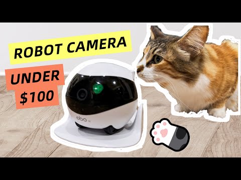 My Experience with a $79 Robot Camera for Cats! 🐱📷 | Enabot EBO Robot Camera