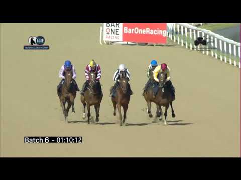 Irish EBF Barrier Trials 05 September 2023 - Batch 06