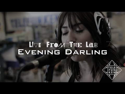 Evening Darling - 