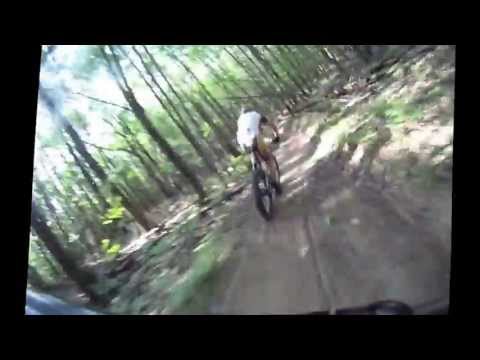 Fat (video) Tuesday ♦ Manistee woodedriverplaid1_swatch