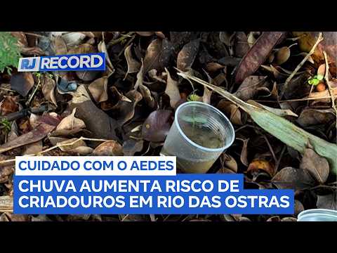 Chuva aumenta alerta para proliferação do mosquito Aedes aegypti em Rio das Ostras