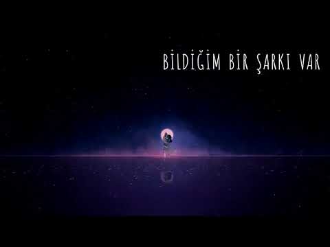 Bildiğim Bir Şarkı Var / ÜMİT YAŞAR OĞUZCAN