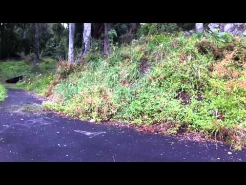 The Glade, 69 almorah Road 06 May 2011 - front Entrance.