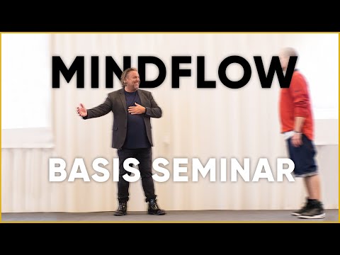 MindFlow - Das Basisseminar