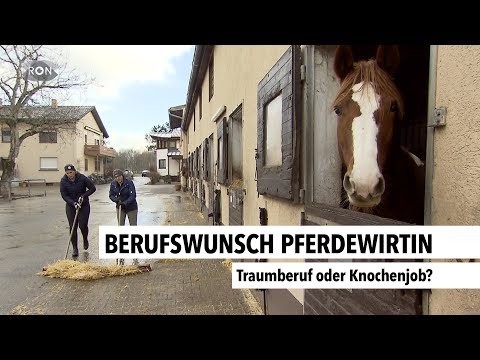 Traumjob Pferdewirtin | RON TV |