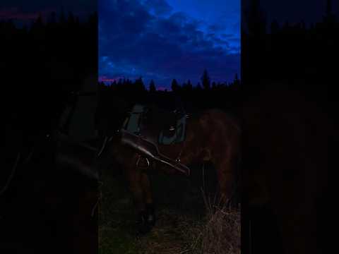 Night work on the nag 🌌