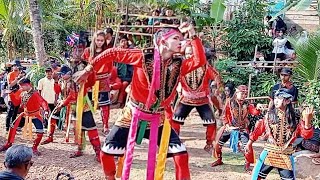 Download lagu CELENG MOGOK EBEG PRAJURIT NGUDI WONGSO MEKAR BUDOYO mp3 Download lagu CELENG MOGOK EBEG PRAJURIT NGUDI WONGSO MEKAR BUDOYO mp3