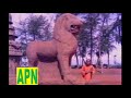 Iraivan Padai Tha Video Song HD Vaa Raja Vaa Sirkazhi Govindarajan APNfilmsofficial