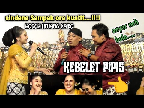 Terbaru paling lucu cak komet cak dodok bikin ngakak semua sinden