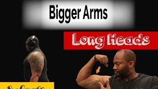 Build Arm Size Fast ( Work The Long Heads)