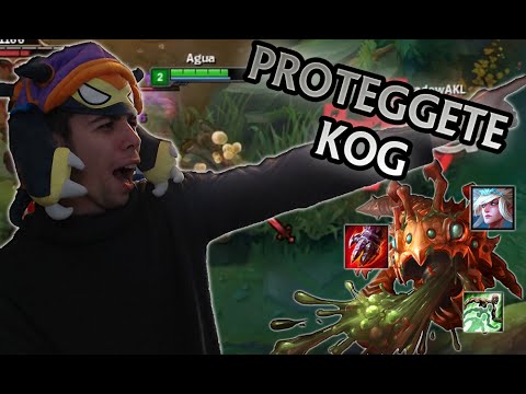 PROTEGGETE KOG