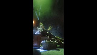 You're an idiot! #TheGrinch