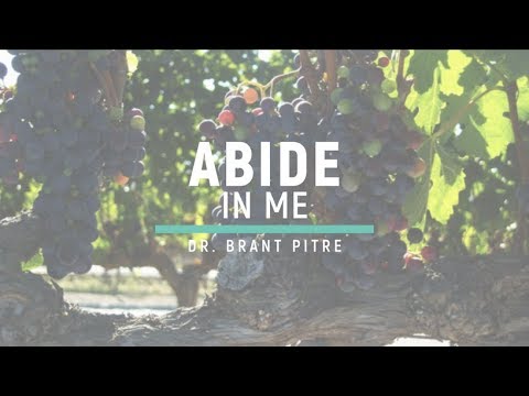 Abide in Me - The Vine and the Branches
