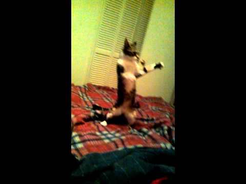 Bug playing with her crazy self