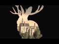 Bavarian 1 - Dimitri Vangelis and Wyman Remix by Miike Snow
