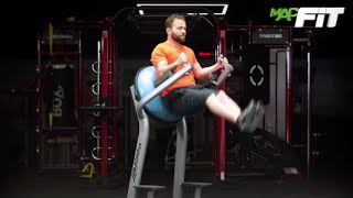 Bosu Bench Leg Raise Nasıl Yaparım?