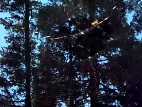 Silkhaus - Acne Queen