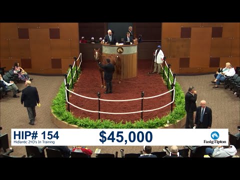 Before They Were Stars: GOT STORMY at the Midlantic Two-Year-Olds in Training Sale (2017)