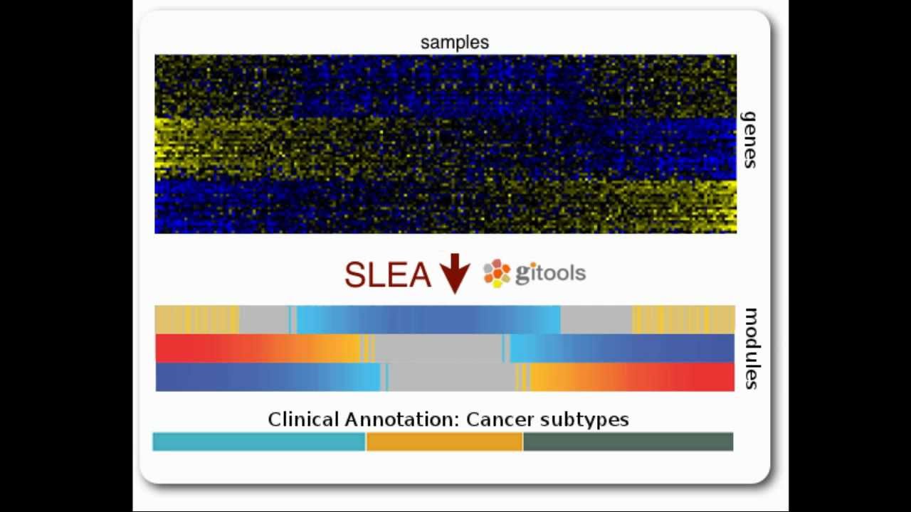Sample Level Enrichment Analysis (SLEA)