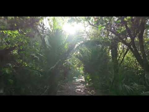 89B Queens Drive, Oneroa, Waiheke Island, 1 Bedrooms, 1 Bathrooms, Section