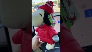 I Found The New Puffer Jacket Snoopy + Woodstock Puffer UPDATE #snoopy #pufferjacket