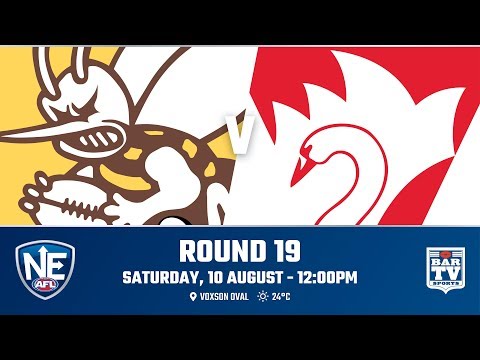 2019 NEAFL - Round 19 - Aspley v Sydney