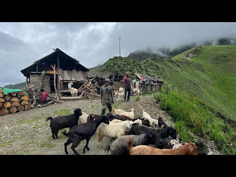 How Nepali Villagers Live Closely with Nature | Mountain Life IamSuman