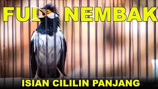 Download lagu Jalak Suren Full Nembak Isian Cililin Panjang Ampuh Buat Masteran Murai Batu #jalaksurengacor mp3 Download lagu Jalak Suren Full Nembak Isian Cililin Panjang Ampuh Buat Masteran Murai Batu #jalaksurengacor mp3
