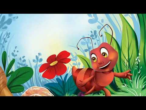 Unforgettable Story # of The Butterfly and The Cocoon 🦋 Struggles Give Us Strength Urdu Dubbing 👍