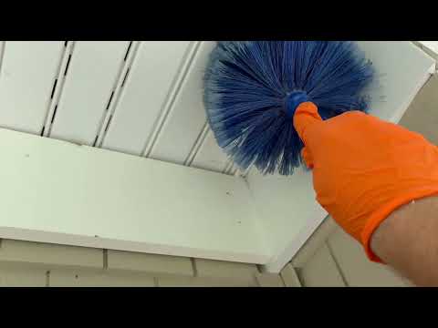 Tons of Spider Webs Around the Front Door in Manahawkin, NJ