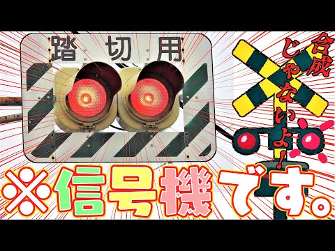 完璧な波: 将来の VW モデルは信号機と通信するようになる