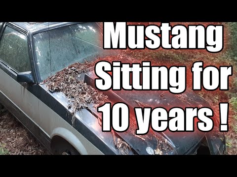 Foxbody Mustang sitting 10 years !