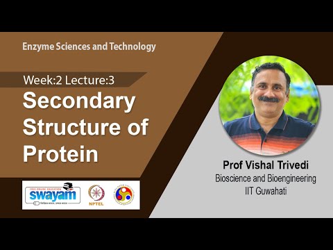 Enzyme Sciences and Technology Intro Video