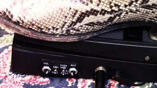 Video thumbnail for Electro Harmonix COCK FIGHT PLUS  pedal of love and joy Demoed with Les Paul by gearmanndude