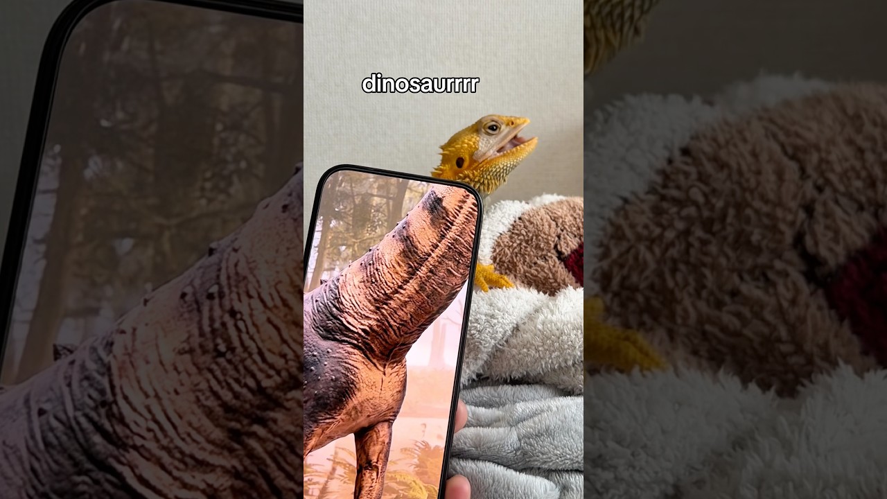 恐竜になったトカゲ